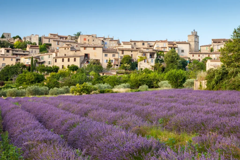 Village provençal de caractère dominant un champ de lavande — Avignon