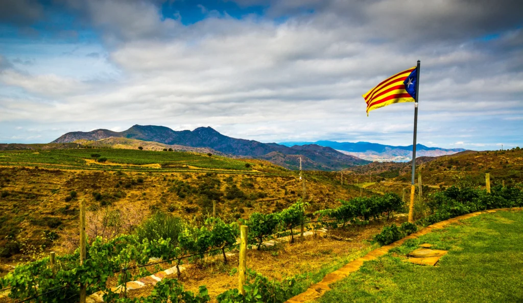 Vignobles catalans à flanc de colline avec drapeau estelada, entre montagnes et Méditerranée — Barcelone