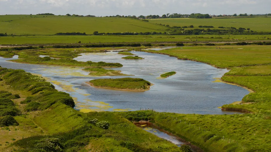 Paysage de marais verdoyants sillonnés de canaux, nature préservée du territoire charentais — La Rochelle