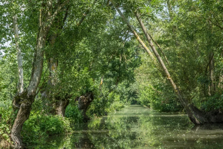 Lieu XXL pour événement d'entreprise à La Rochelle