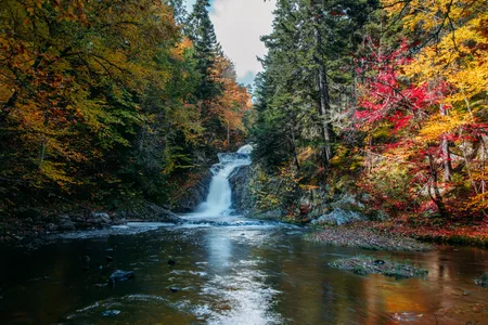 Cascade en forêt aux couleurs flamboyantes de l'automne québécois — Montréal