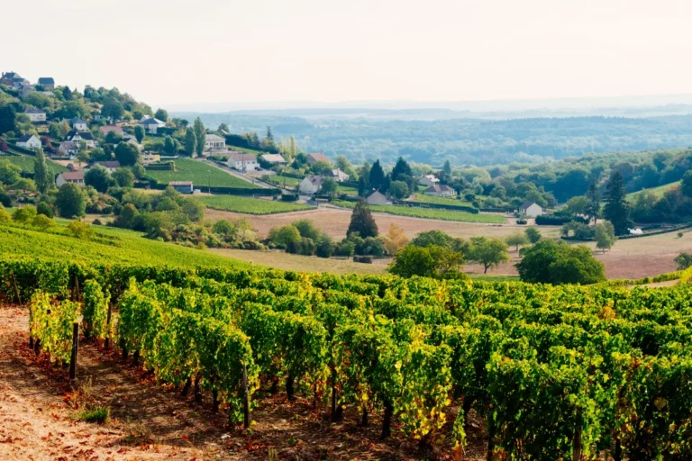 ARTS DE VIVRE — événement d'entreprise à Orléans-Bourges-Nevers