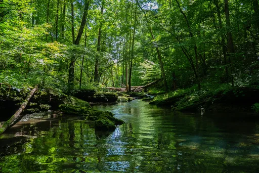 Nature & Aventure — événement d'entreprise à Saint-Étienne