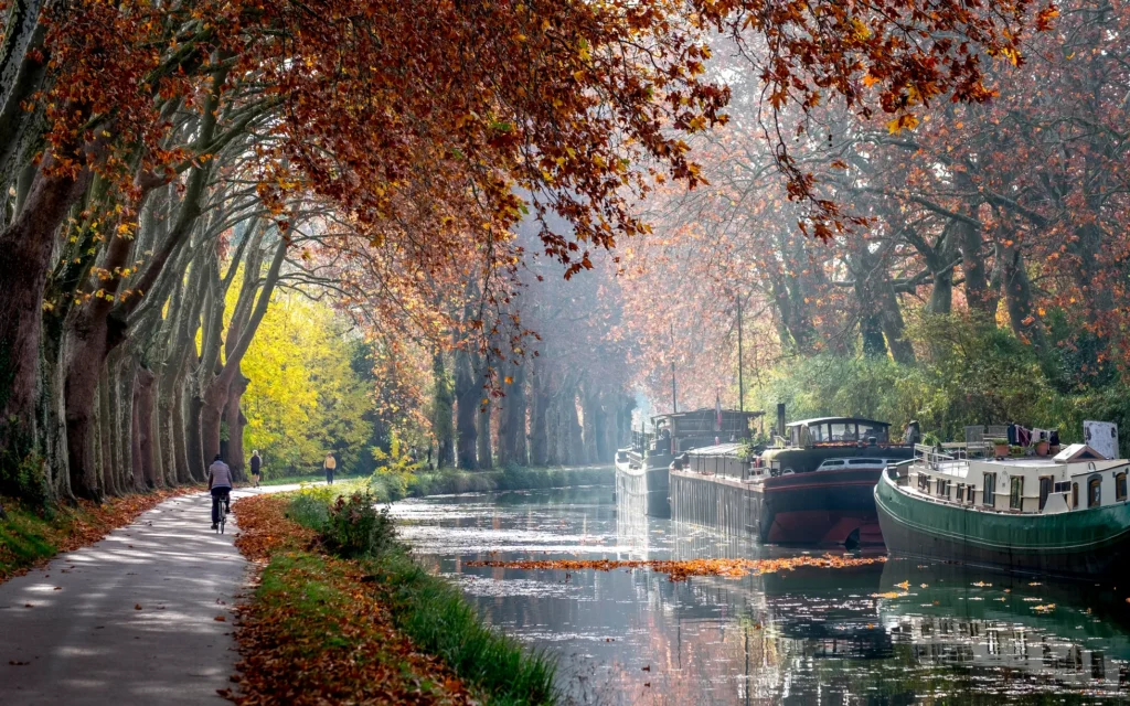 Le Canal du Midi bordé de platanes aux couleurs d'automne, avec ses péniches et sa piste cyclable — Toulouse