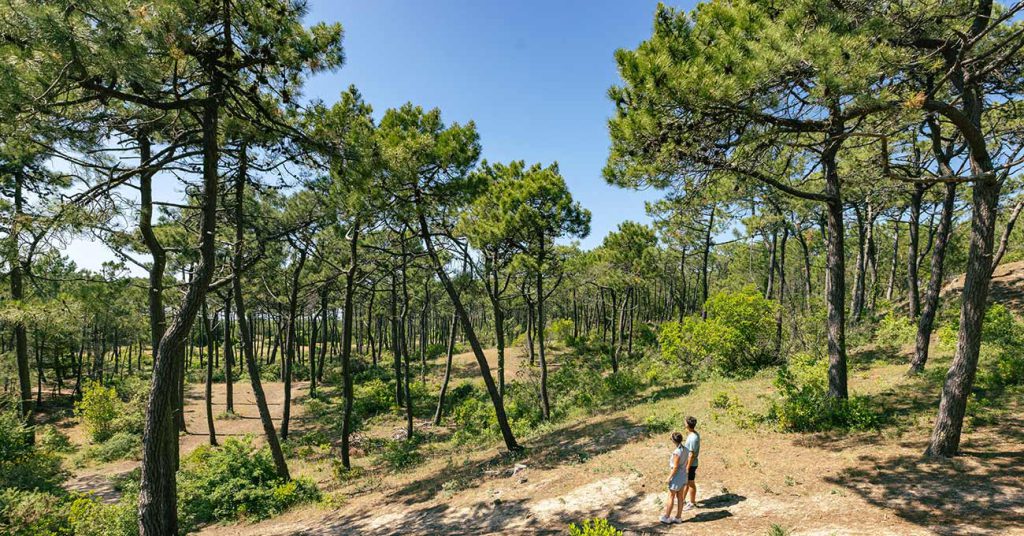 Île de Noirmoutier, séminaire d'entreprise, Vendée