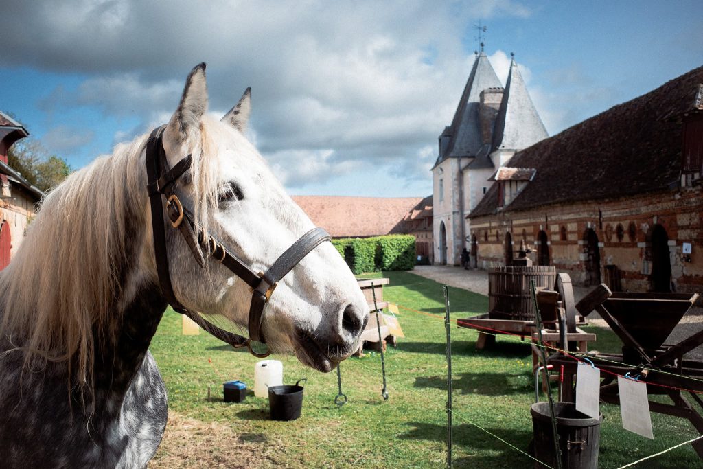 10. Château de Bonnemare, événement d'entreprise en Eure