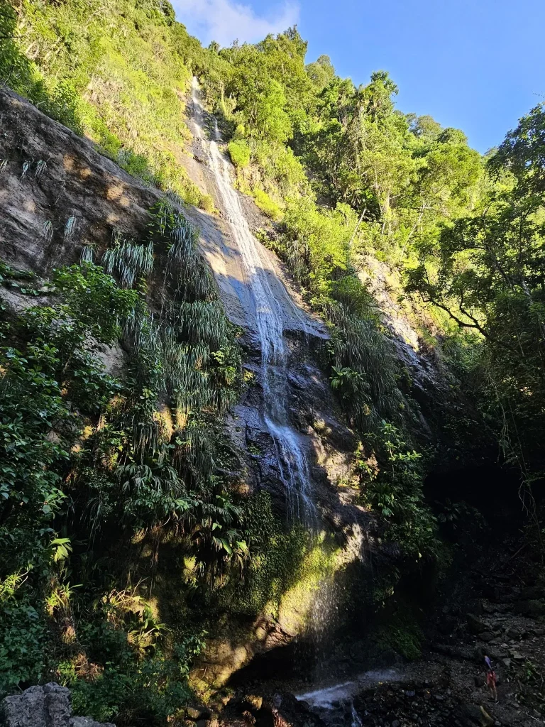 Montagne Pelée & Forêt Tropicale du Nord, événement d'entreprise Martinique