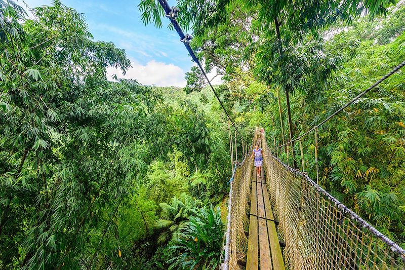Montagne Pelée & Forêt Tropicale du Nord, espace pour événement d'entreprise, Martinique