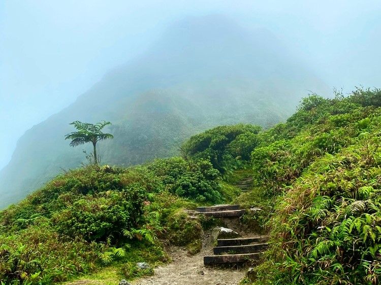 10. Montagne Pelée & Forêt Tropicale du Nord, espace séminaire pour entreprise en Martinique