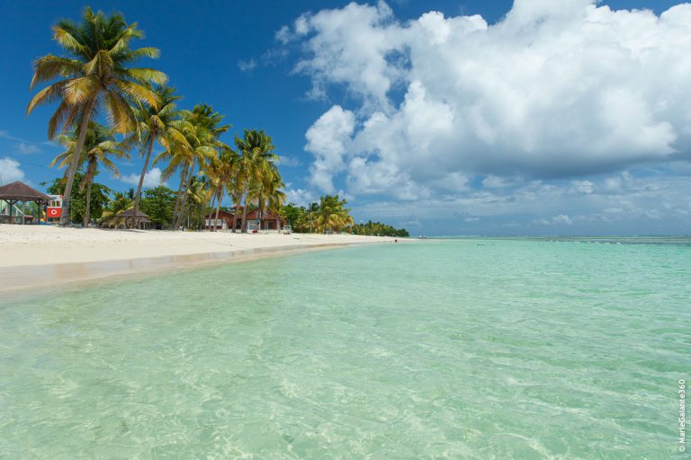 Marie-Galante, événement d'entreprise Guadeloupe