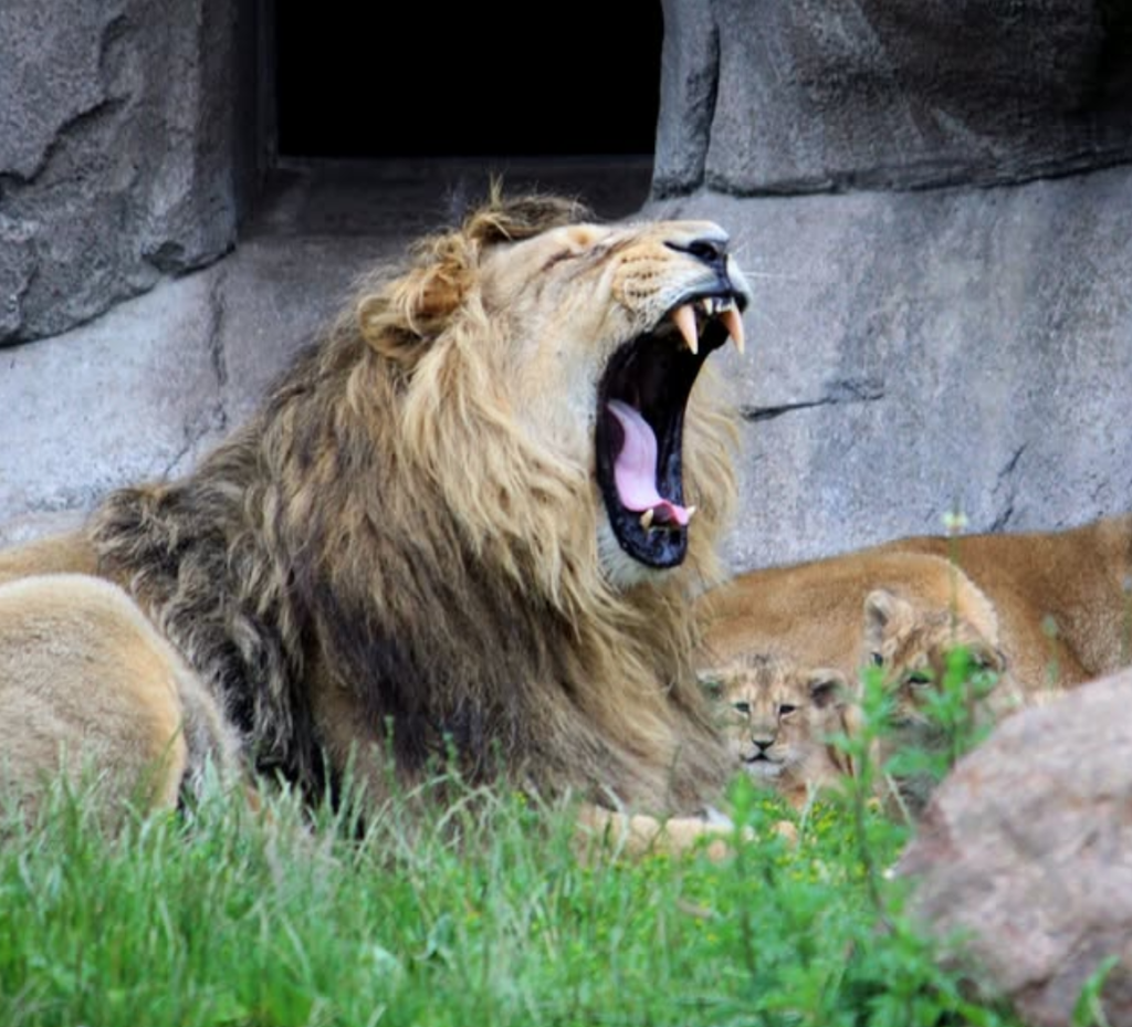 Aalborg Zoo, séminaire d'entreprise