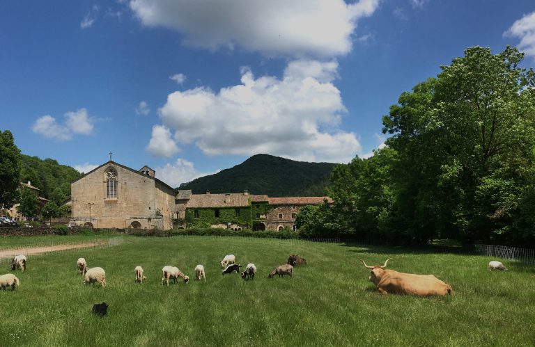 Abbaye de Sylvanès, événement d'entreprise Aveyron