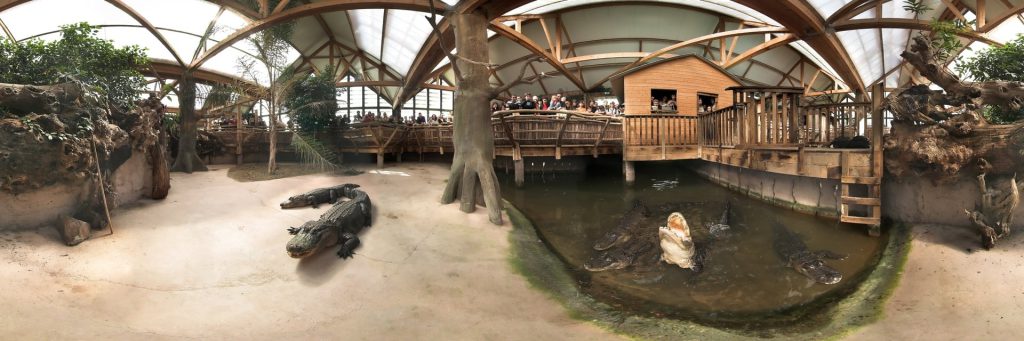 Alligator Bay, espace pour événement d'entreprise, Manche