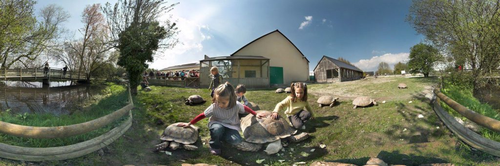 Alligator Bay, lieu d'événement d'entreprise en Manche