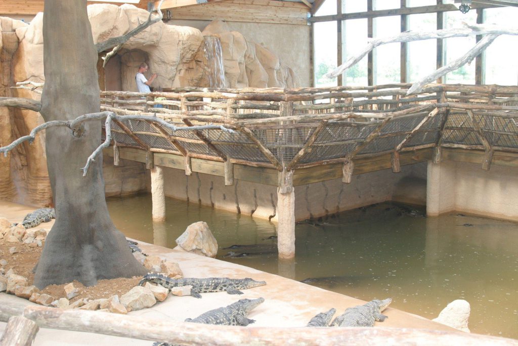 Alligator Bay, lieu d'événement d'entreprise en Manche