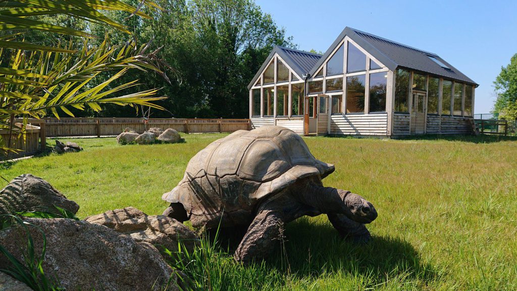 Alligator Bay, espace séminaire pour entreprise en Manche