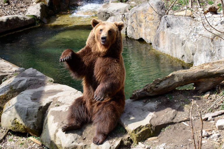 Alpenzoo Innsbruck, événement d'entreprise 