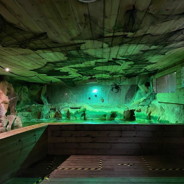 Aquarium d&rsquo;Amnéville, événement d'entreprise Moselle