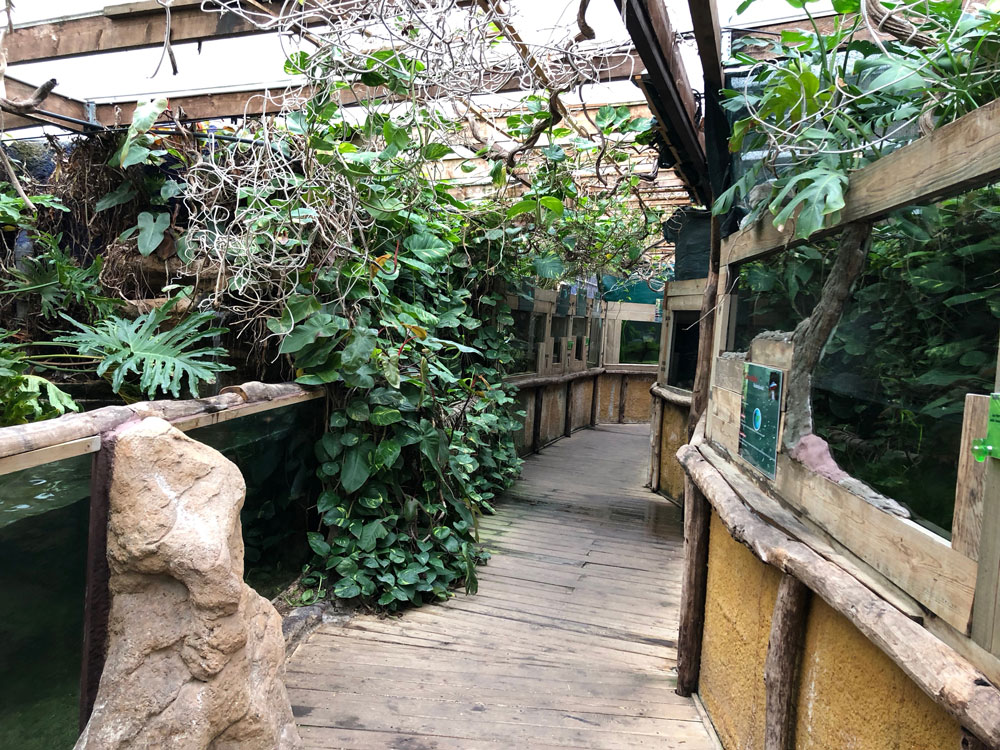 Aquarium d’Amnéville, espace pour événement d'entreprise, Moselle