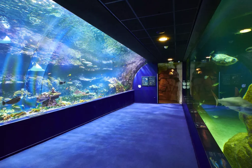 Aquarium de Biarritz, événement d'entreprise en Pyrénées-Atlantiques