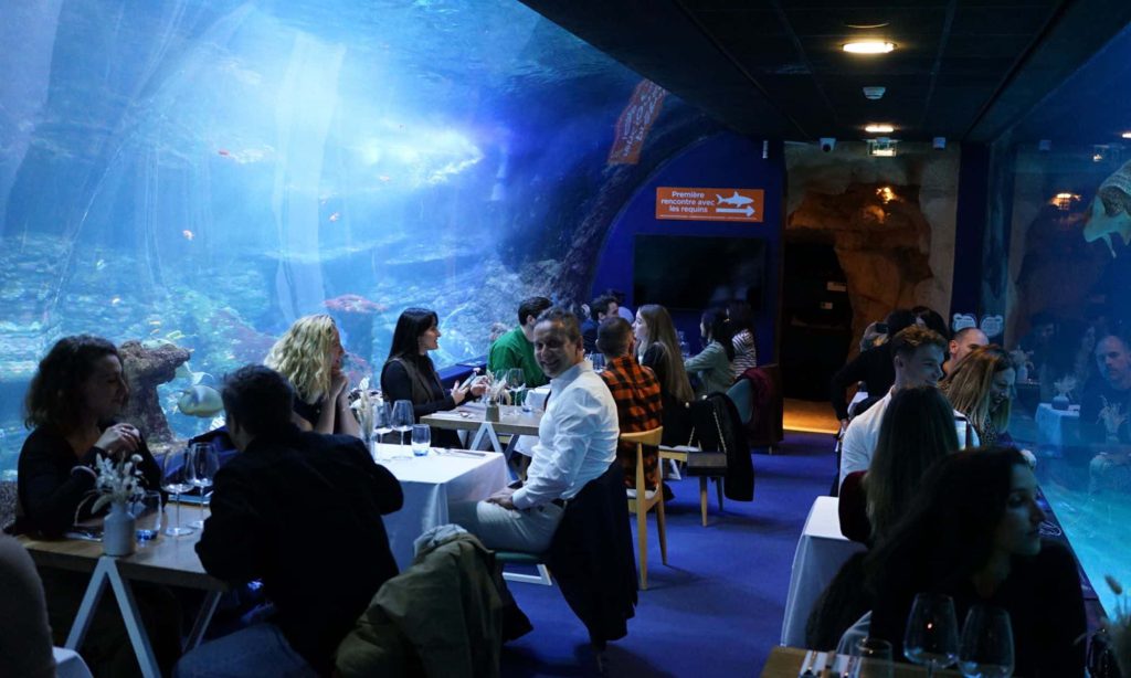 Aquarium de Biarritz, séminaire d'entreprise, Pyrénées-Atlantiques