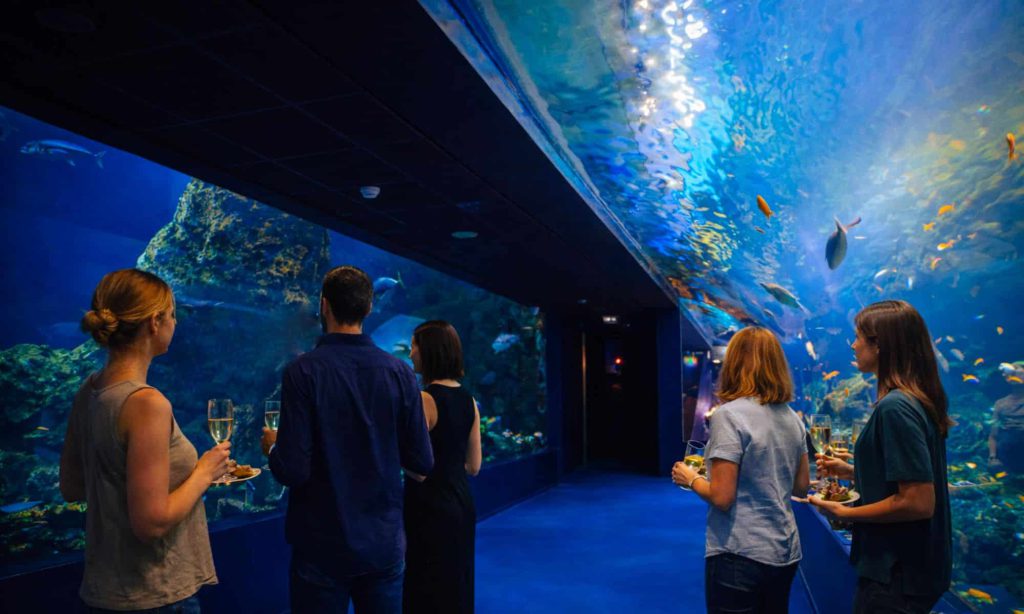 Aquarium de Biarritz, espace pour événement d'entreprise, Pyrénées-Atlantiques