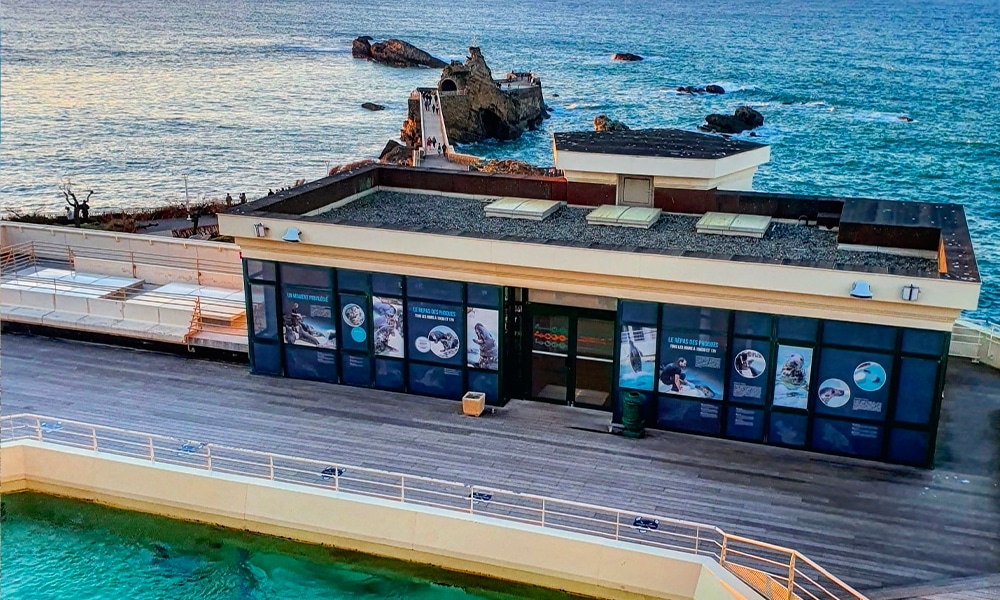 Aquarium de Biarritz, événement d'entreprise en Pyrénées-Atlantiques