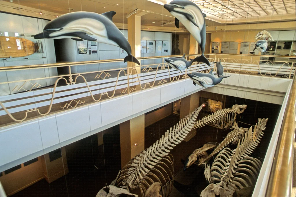 Aquarium de Biarritz (musée de la Mer), séminaire d'entreprise, Pyrénées-Atlantiques
