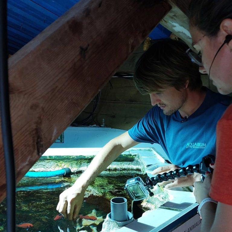 Aquarium de la Guadeloupe, événement d'entreprise Guadeloupe