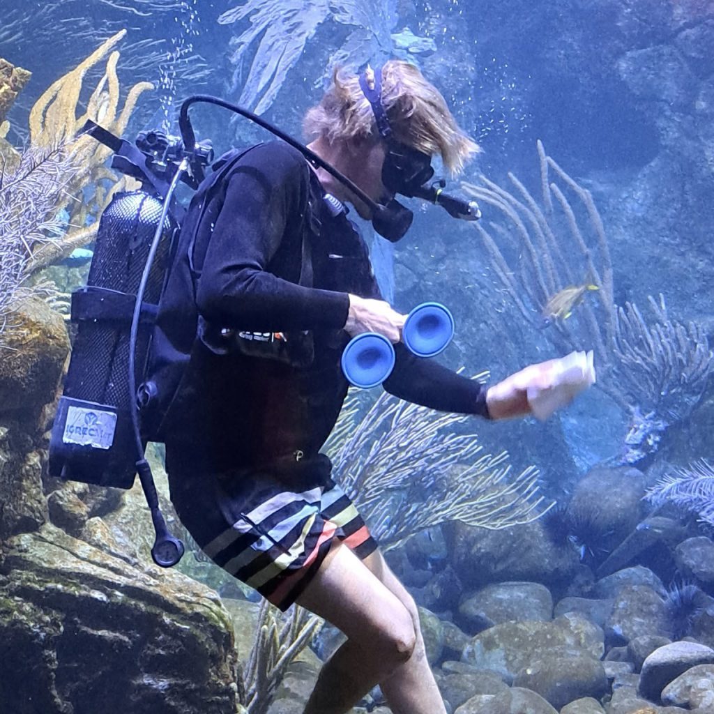 Aquarium de la Guadeloupe, séminaire d'entreprise, Guadeloupe