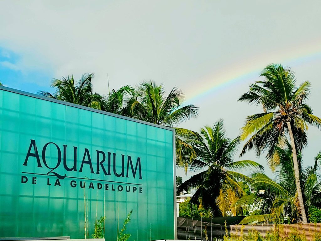 Aquarium de la Guadeloupe, espace pour événement d'entreprise, Guadeloupe