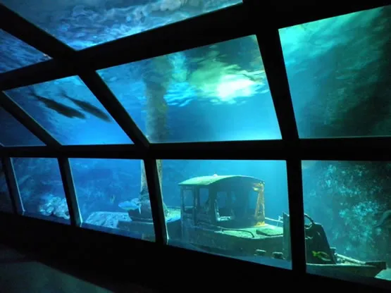 Aquarium de la Réunion, événement d'entreprise La Réunion
