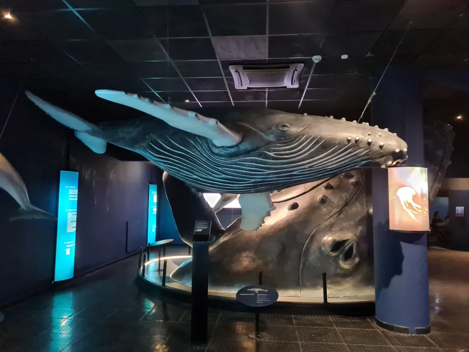 Aquarium de la Réunion, séminaire d'entreprise, La Réunion