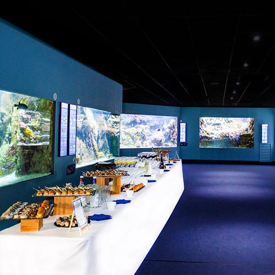 Aquarium de la Rochelle, événement d'entreprise Charente-Maritime