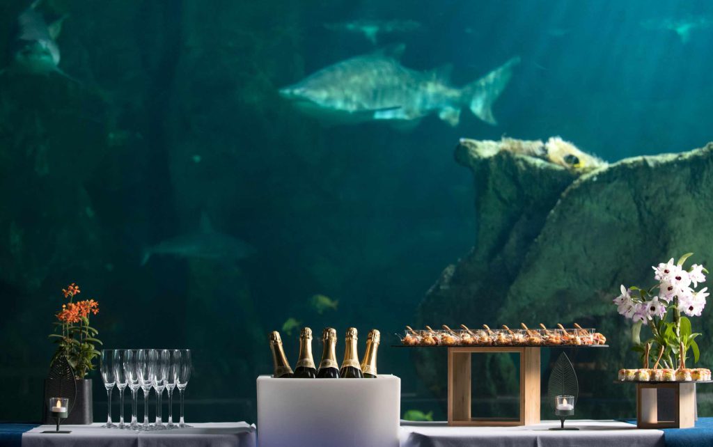 Aquarium de la Rochelle, séminaire d'entreprise, Charente-Maritime