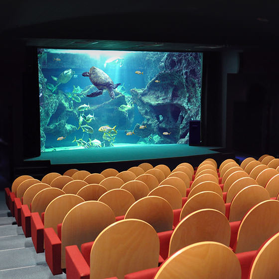 Aquarium de la Rochelle, séminaire d'entreprise, Charente-Maritime