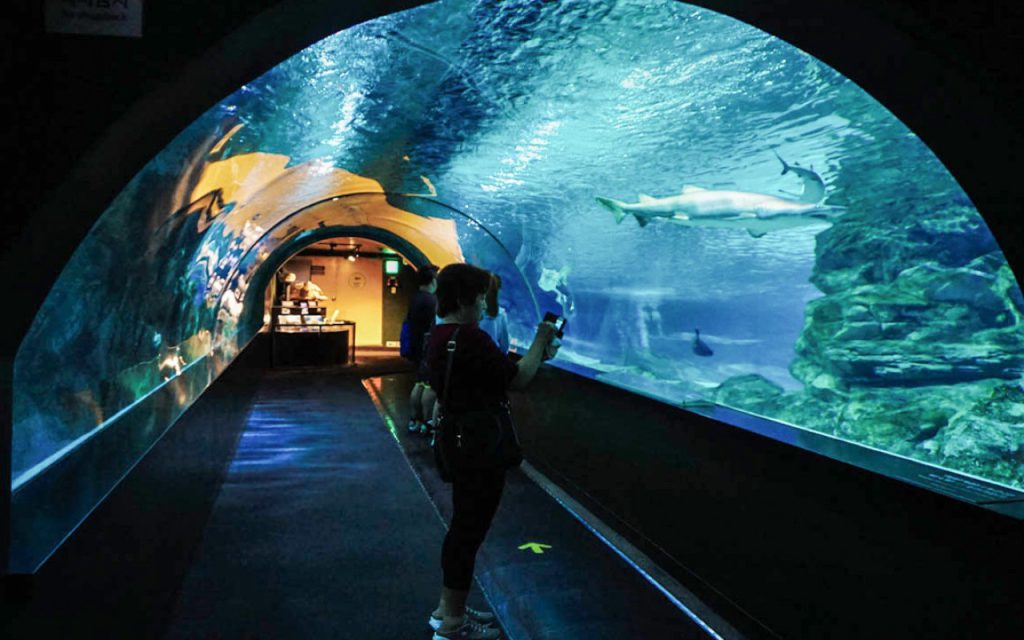 Aquarium de la Rochelle, lieu d'événement d'entreprise en Charente-Maritime