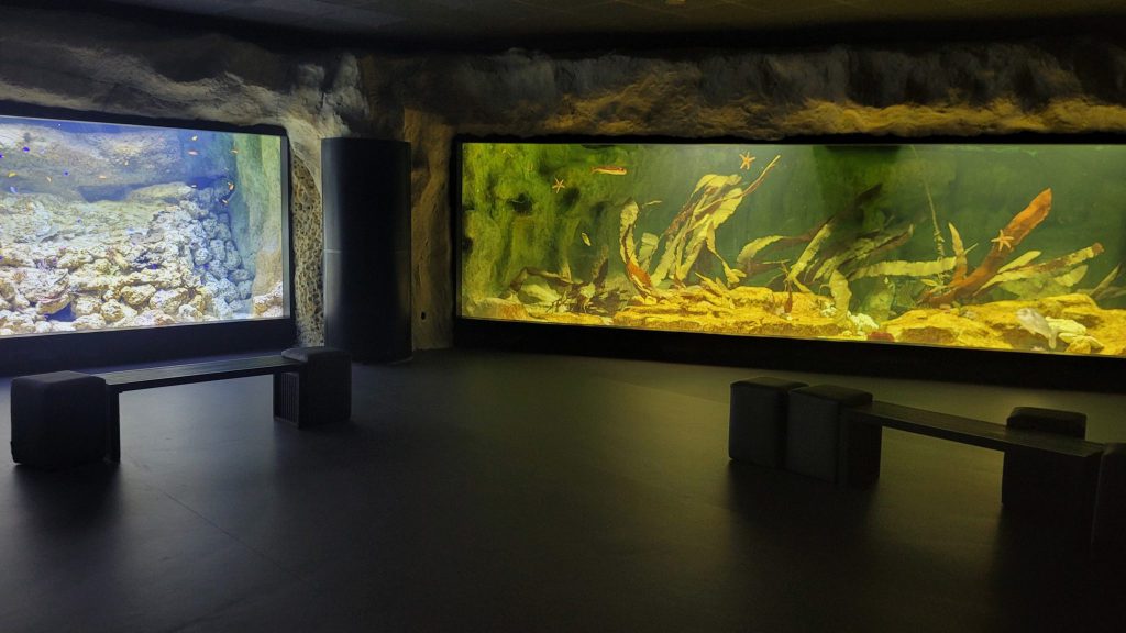 Aquarium de Lyon, espace pour événement d'entreprise, Rhône