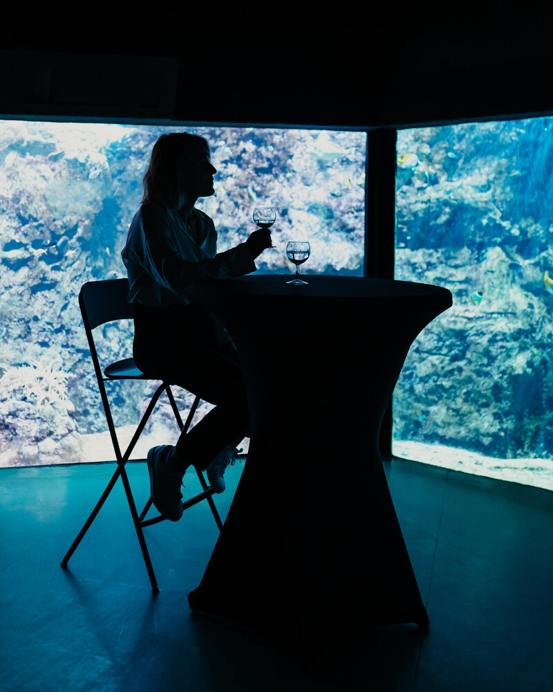 Aquarium de Lyon, événement d'entreprise en Rhône