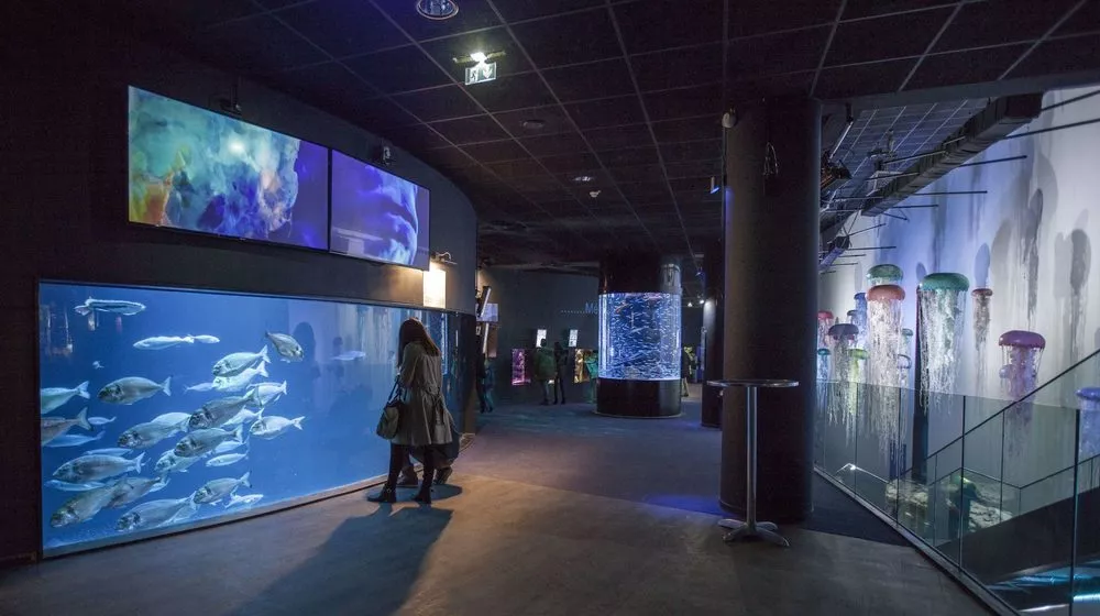 Aquarium de Paris – Cineaqua, espace pour événement d'entreprise, Paris