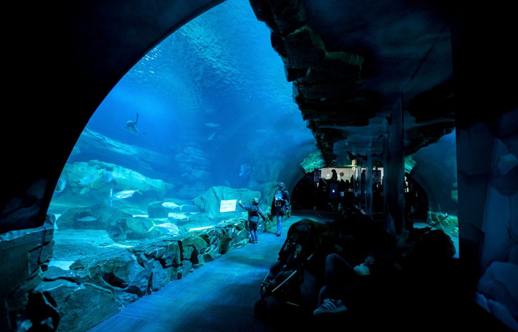Aquarium de Paris – Cineaqua, lieu d'événement d'entreprise en Paris