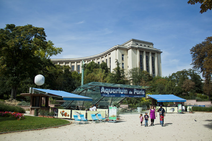 Aquarium de Paris – Cineaqua, espace séminaire pour entreprise en Paris