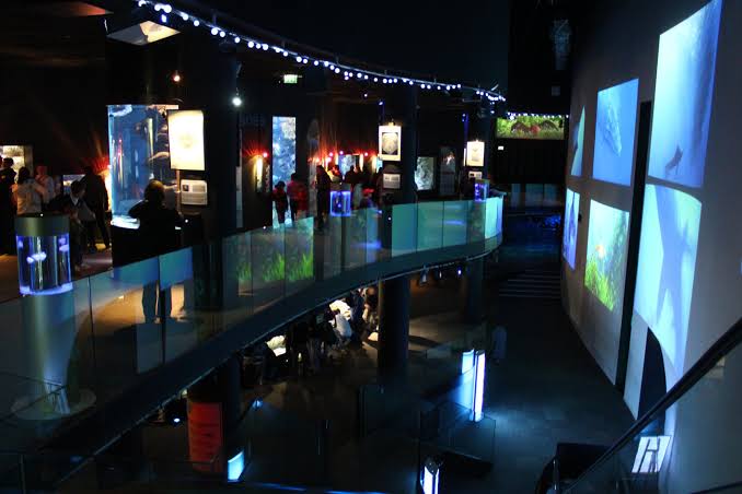 Aquarium de Paris – Cineaqua, événement d'entreprise en Paris