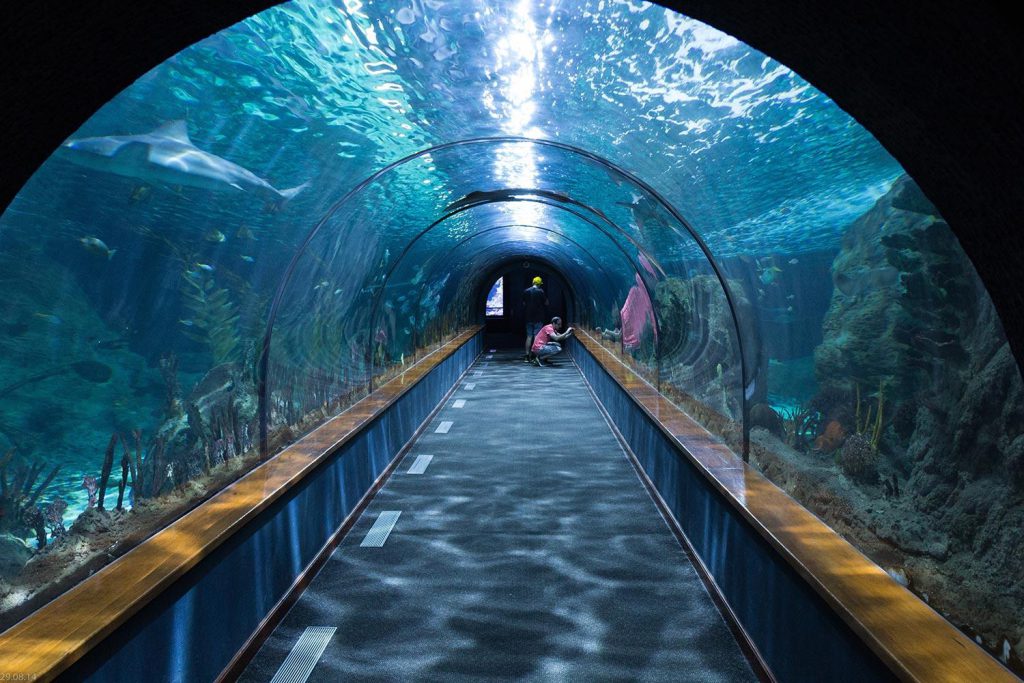 Aquarium de Touraine (grand Aquarium), espace pour événement d'entreprise, Indre-et-Loire