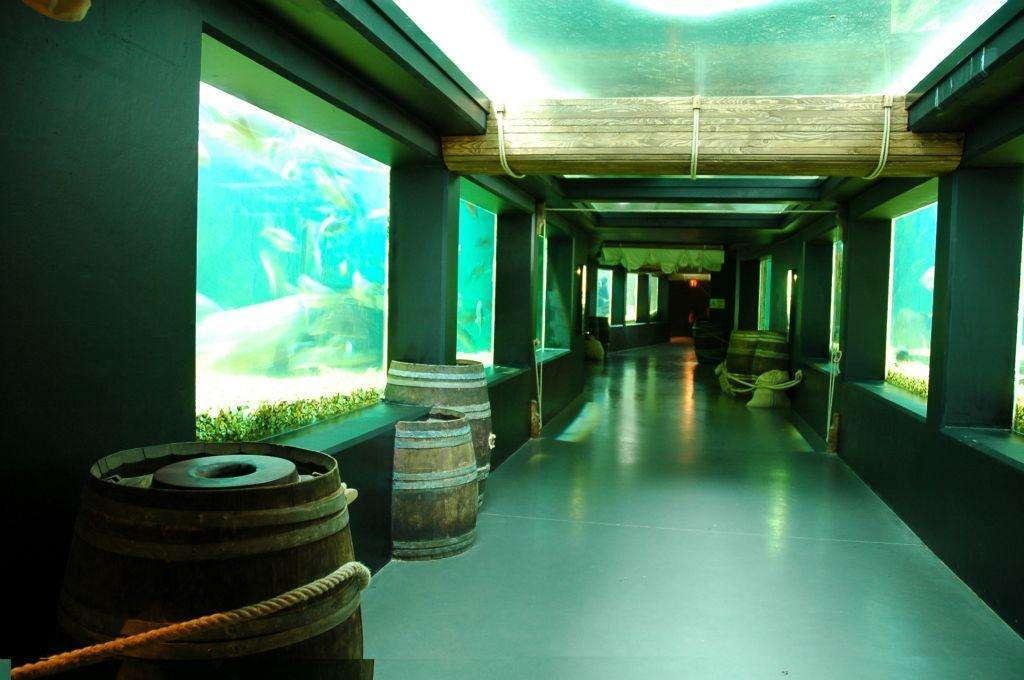 Aquarium de Touraine (grand Aquarium), lieu d'événement d'entreprise en Indre-et-Loire