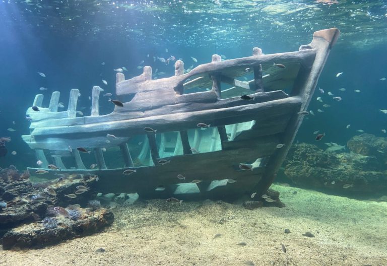 Aquarium de Vendée Vendée