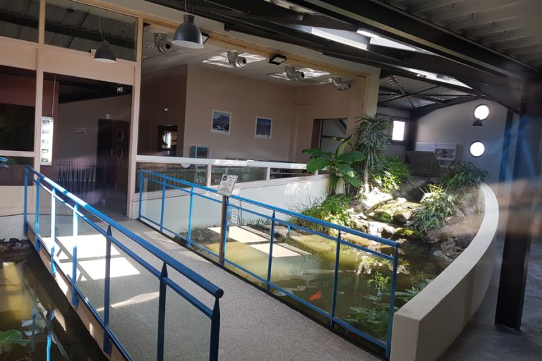Aquarium des Tropiques, événement d'entreprise Drôme