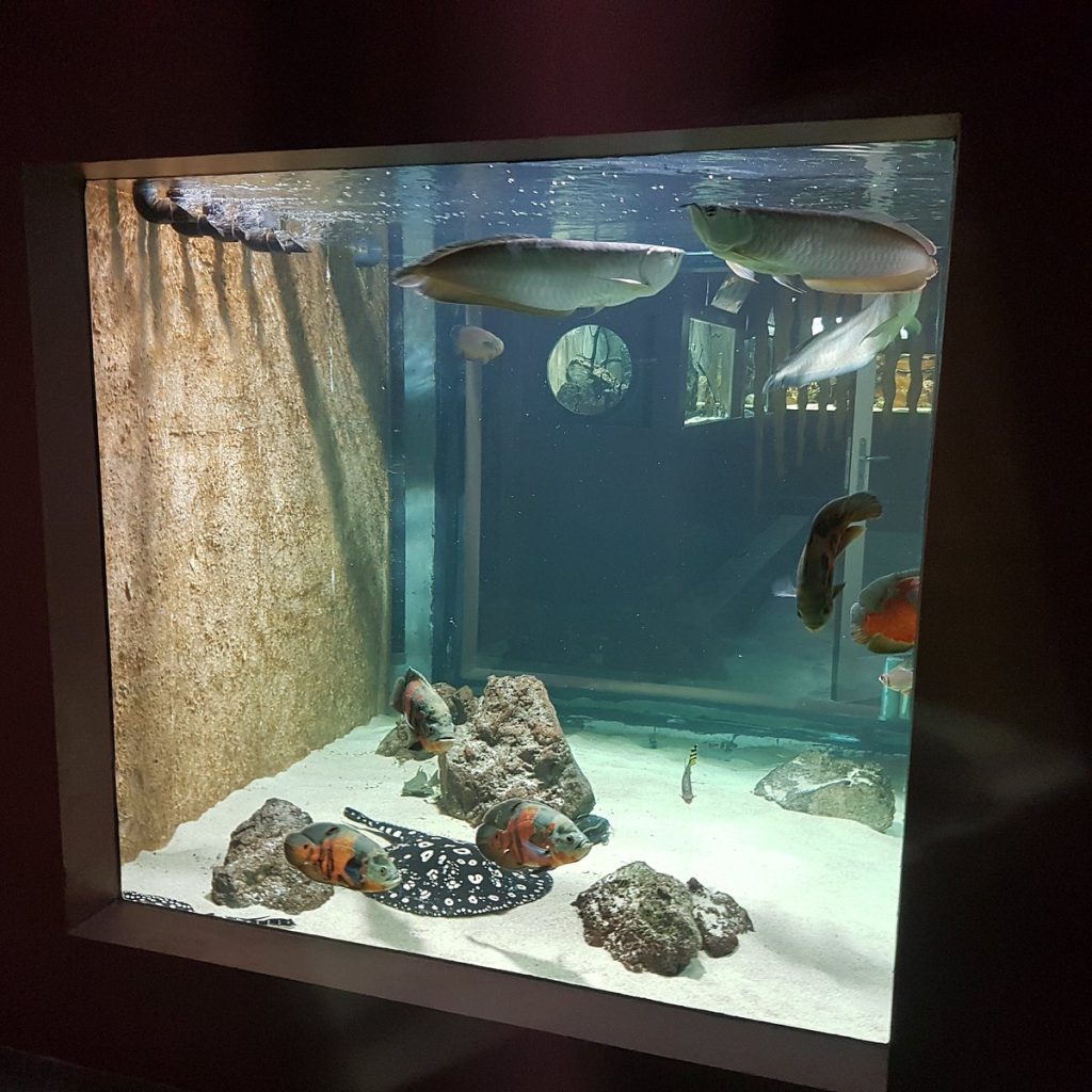 Aquarium des Tropiques, espace pour événement d'entreprise, Drôme