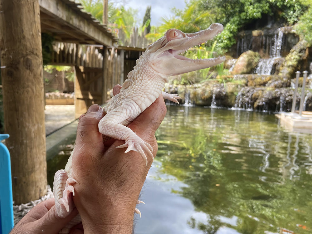 Aquarium du Périgord Noir, espace pour événement d'entreprise, Dordogne