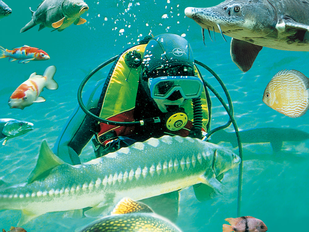 Aquarium du Périgord Noir, lieu d'événement d'entreprise en Dordogne